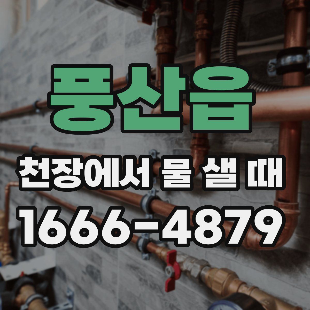 풍산읍 천장에서 물 샐 때