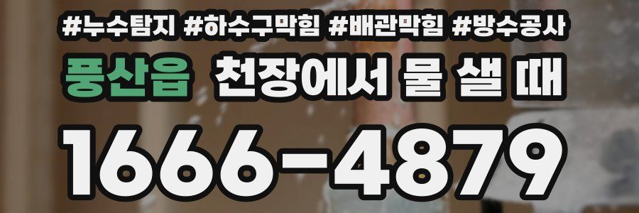 풍산읍 천장에서 물 샐 때