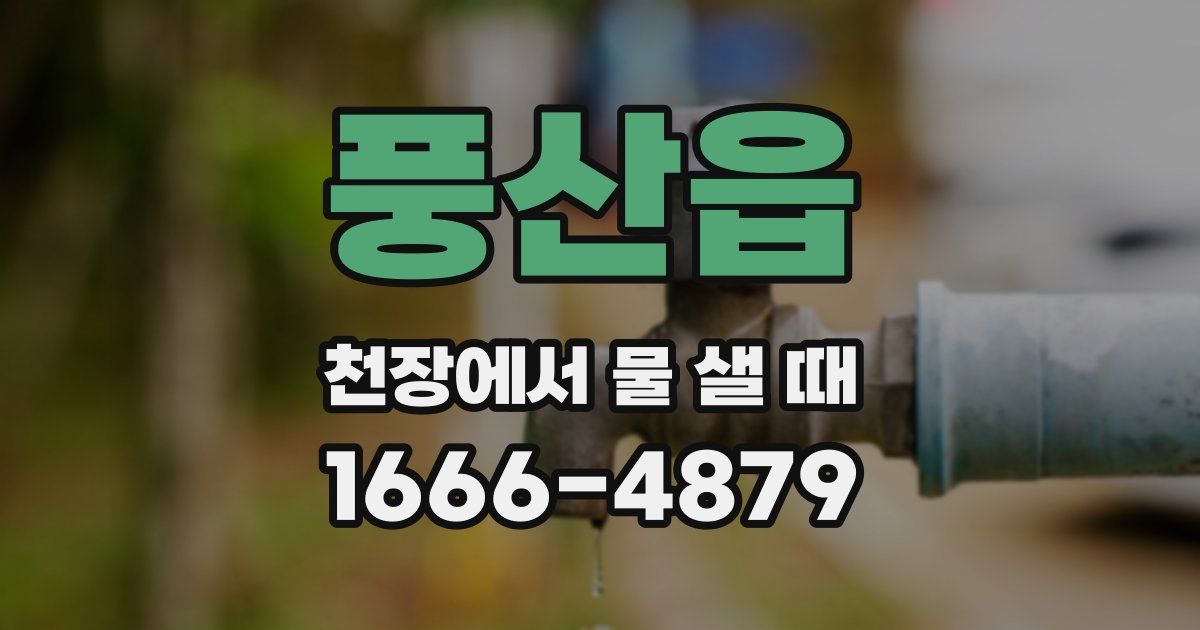 풍산읍 천장에서 물 샐 때