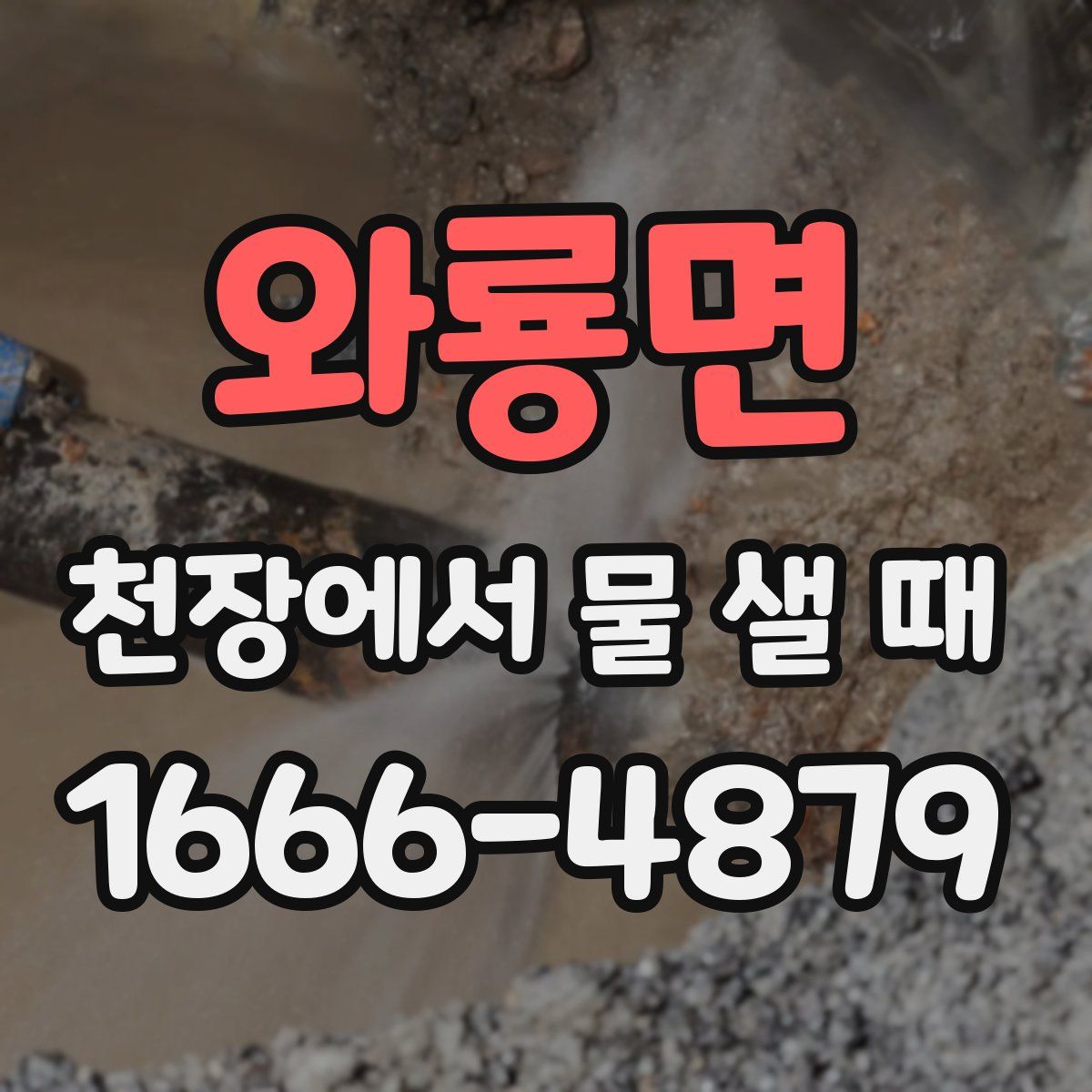 와룡면 천장에서 물 샐 때