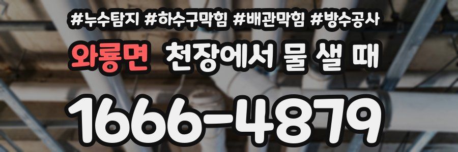 와룡면 천장에서 물 샐 때