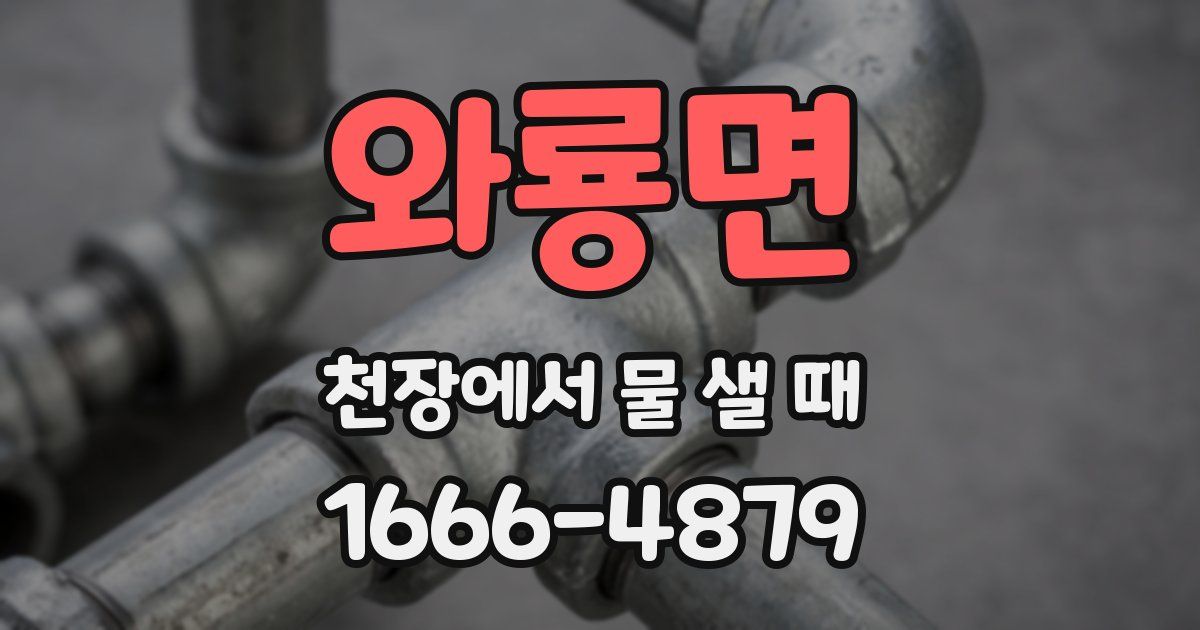 와룡면 천장에서 물 샐 때