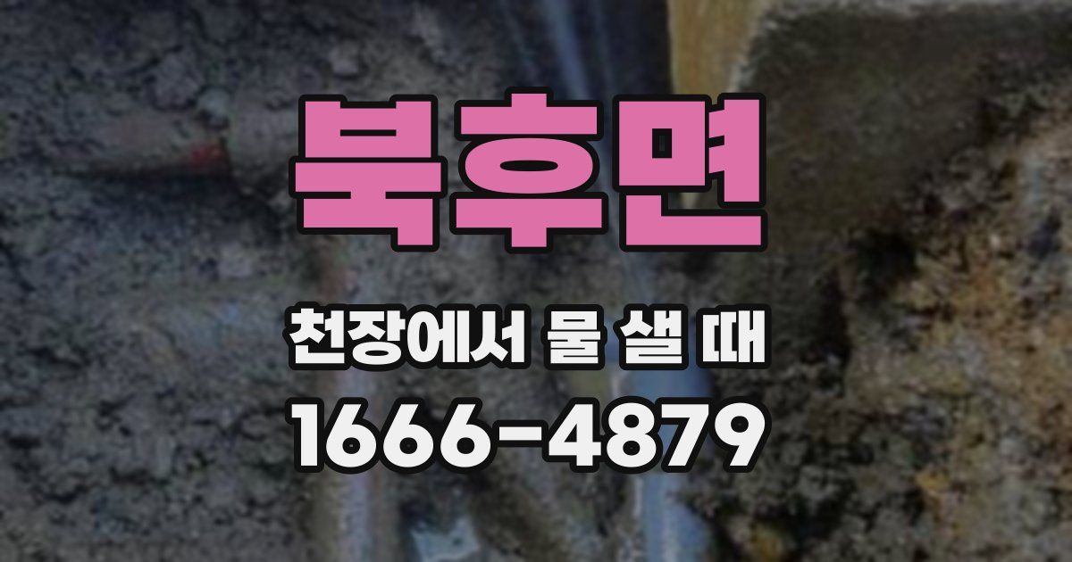 북후면 천장에서 물 샐 때