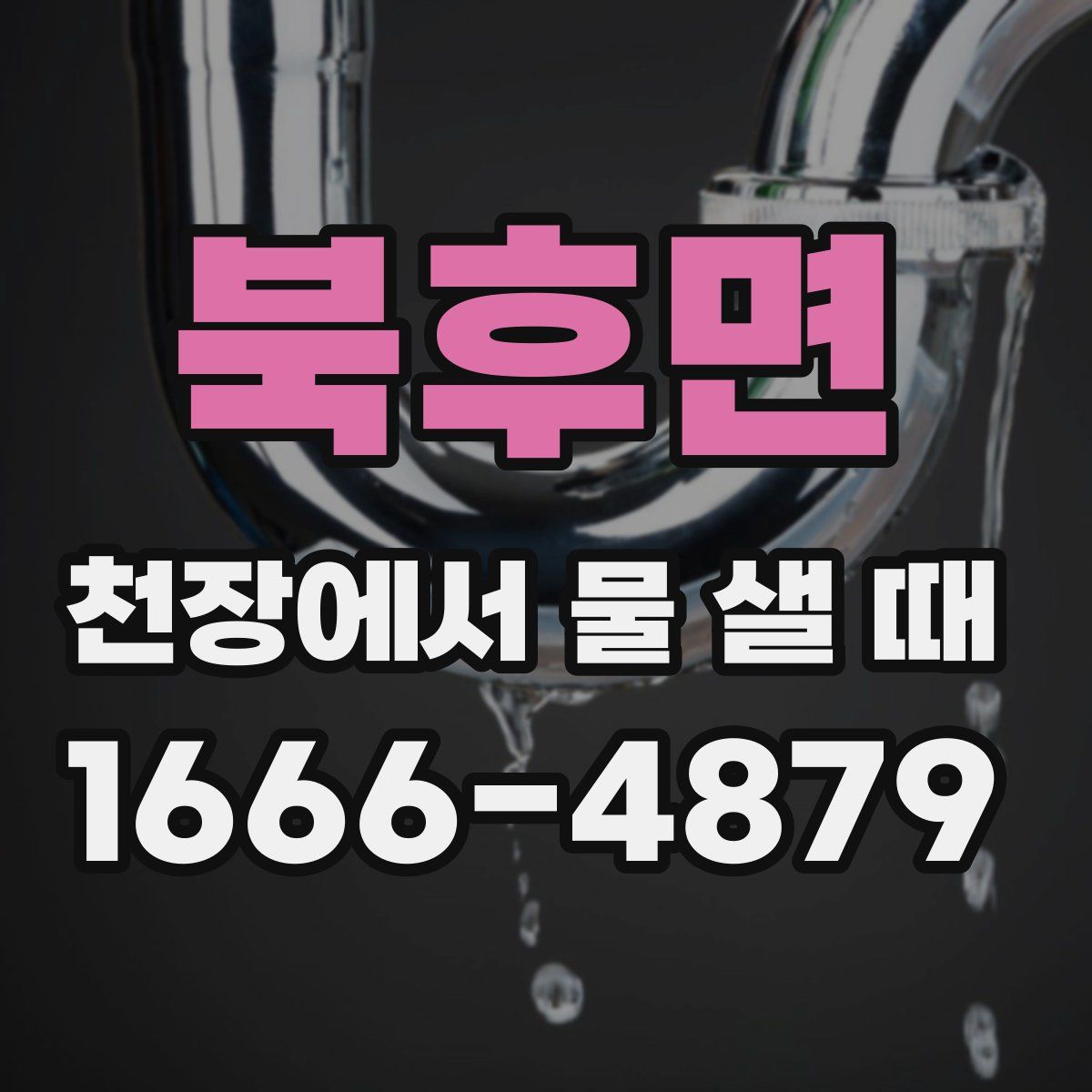 북후면 천장에서 물 샐 때