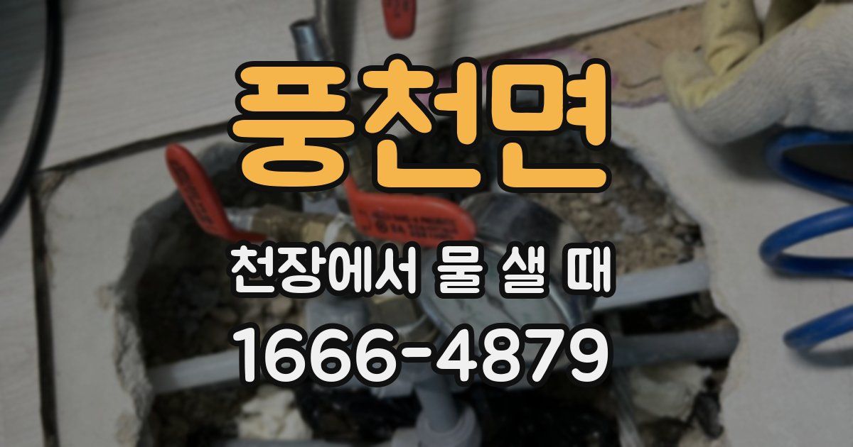 풍천면 천장에서 물 샐 때