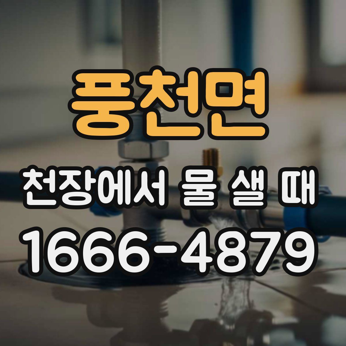 풍천면 천장에서 물 샐 때