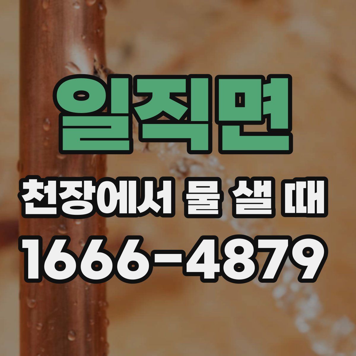 일직면 천장에서 물 샐 때