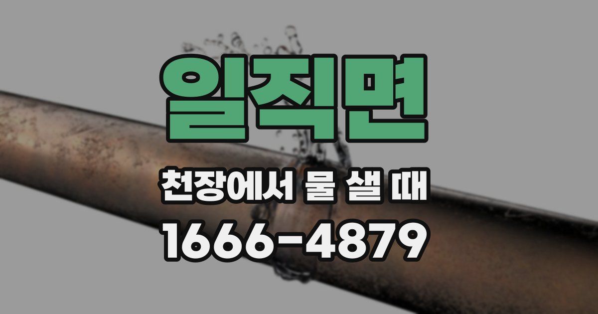 일직면 천장에서 물 샐 때