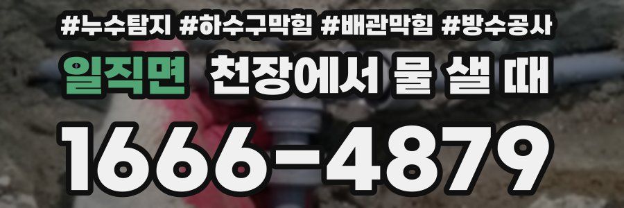 일직면 천장에서 물 샐 때