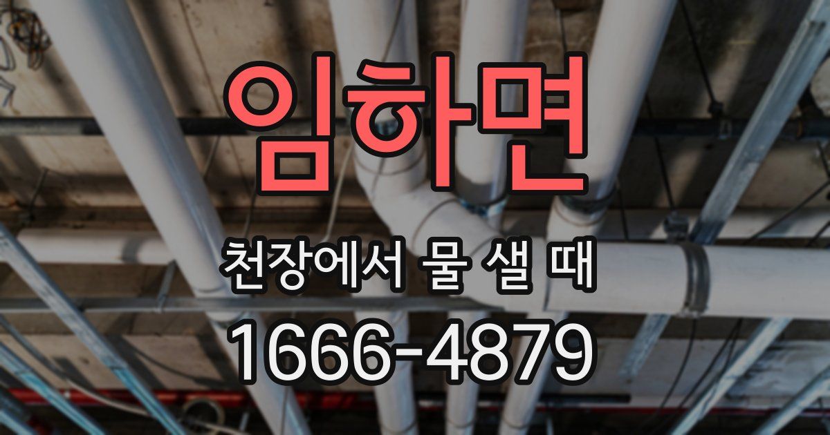 임하면 천장에서 물 샐 때