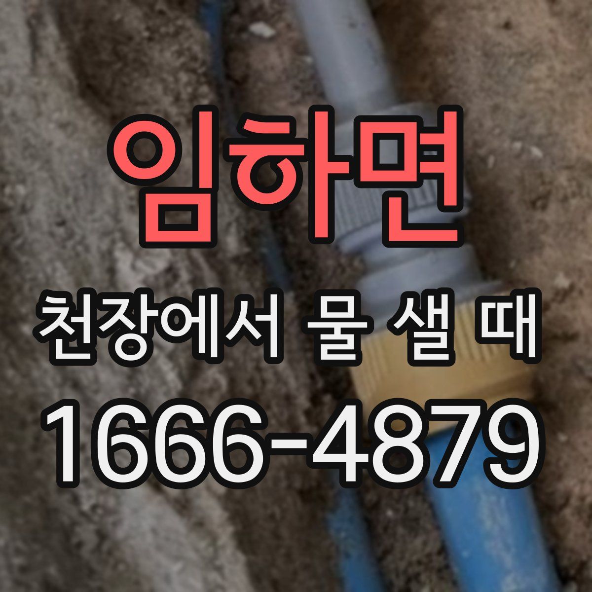 임하면 천장에서 물 샐 때