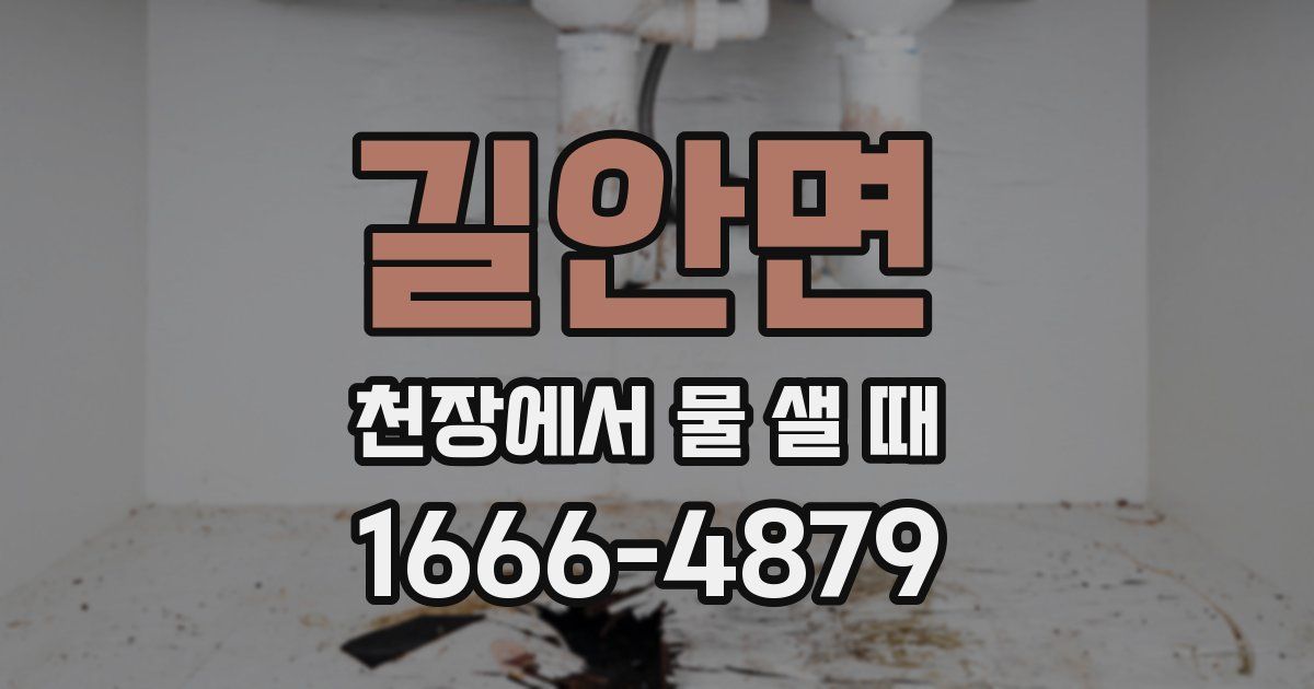 길안면 천장에서 물 샐 때