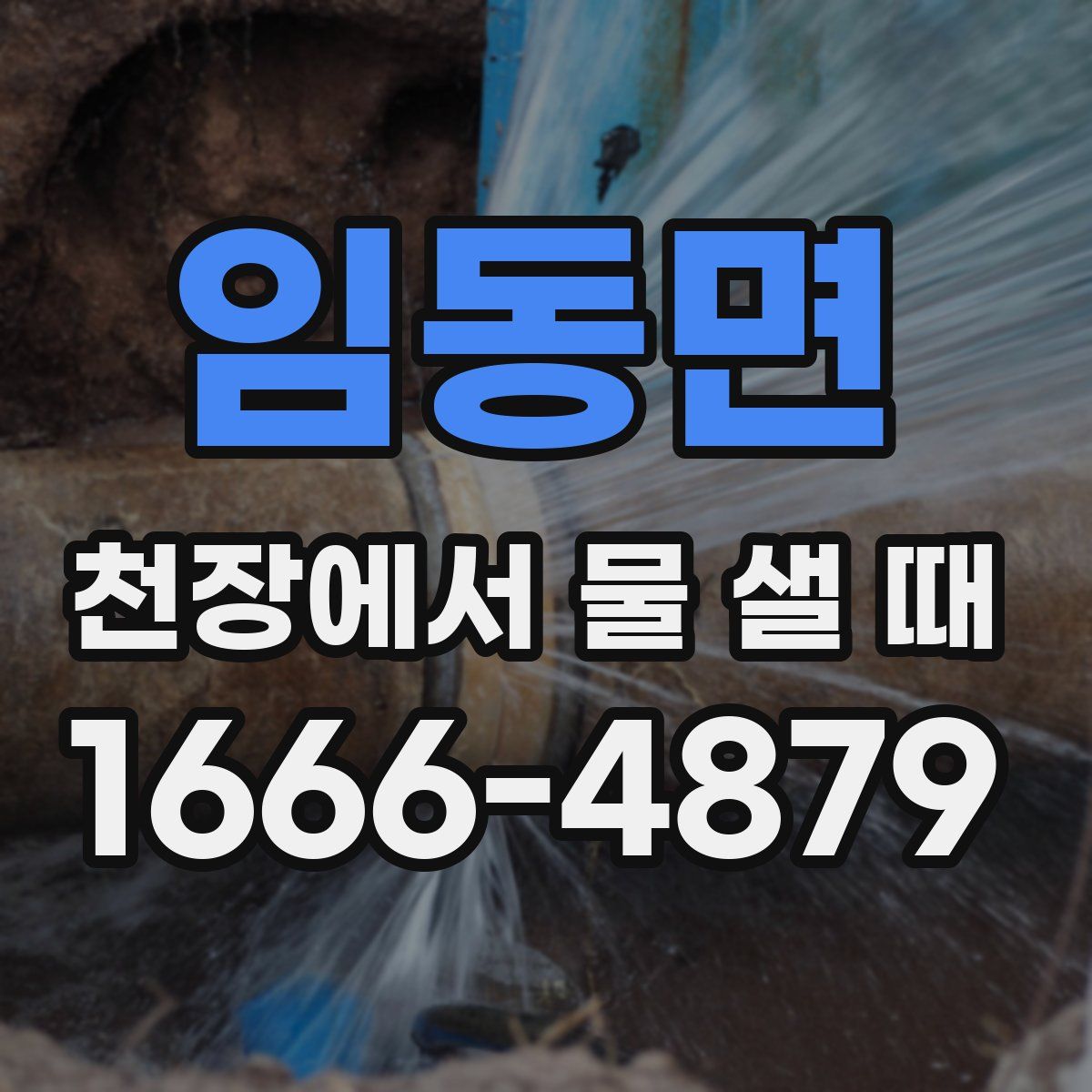 임동면 천장에서 물 샐 때