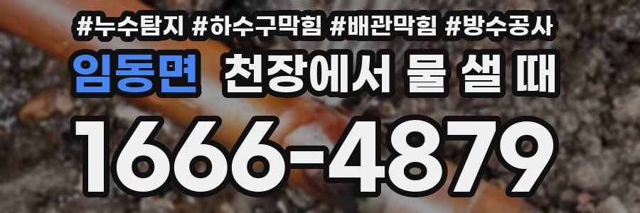 임동면 천장에서 물 샐 때