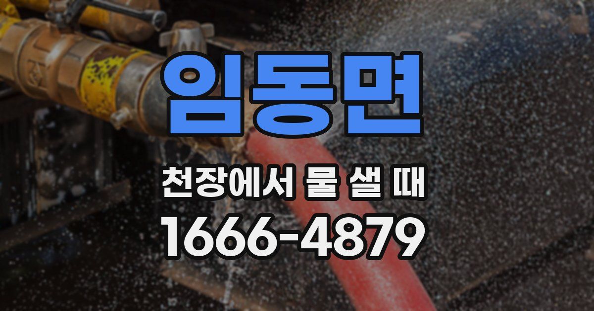 임동면 천장에서 물 샐 때