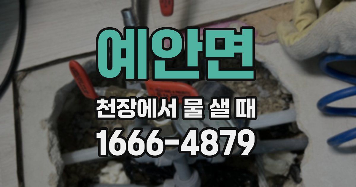 예안면 천장에서 물 샐 때