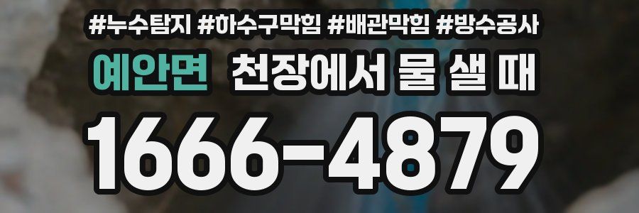 예안면 천장에서 물 샐 때