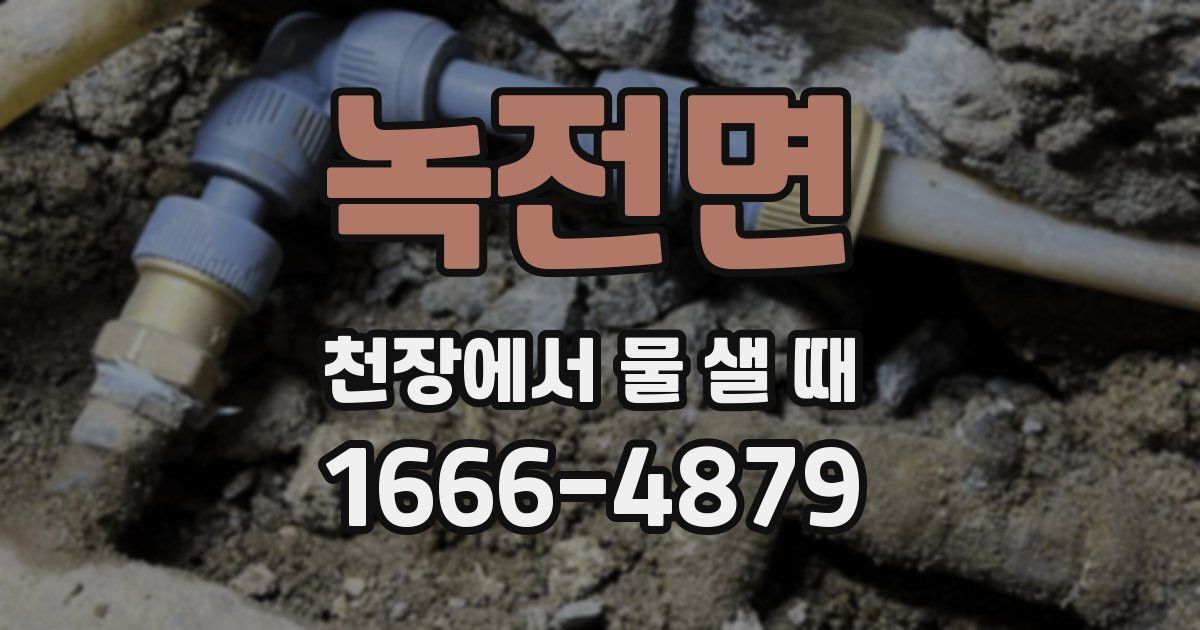 녹전면 천장에서 물 샐 때