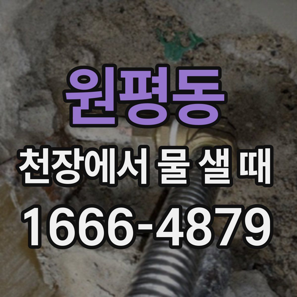 원평동 천장에서 물 샐 때