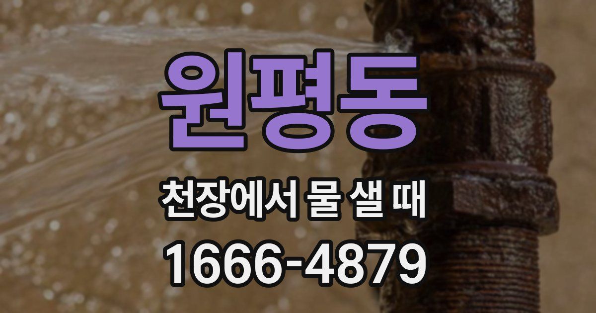 원평동 천장에서 물 샐 때