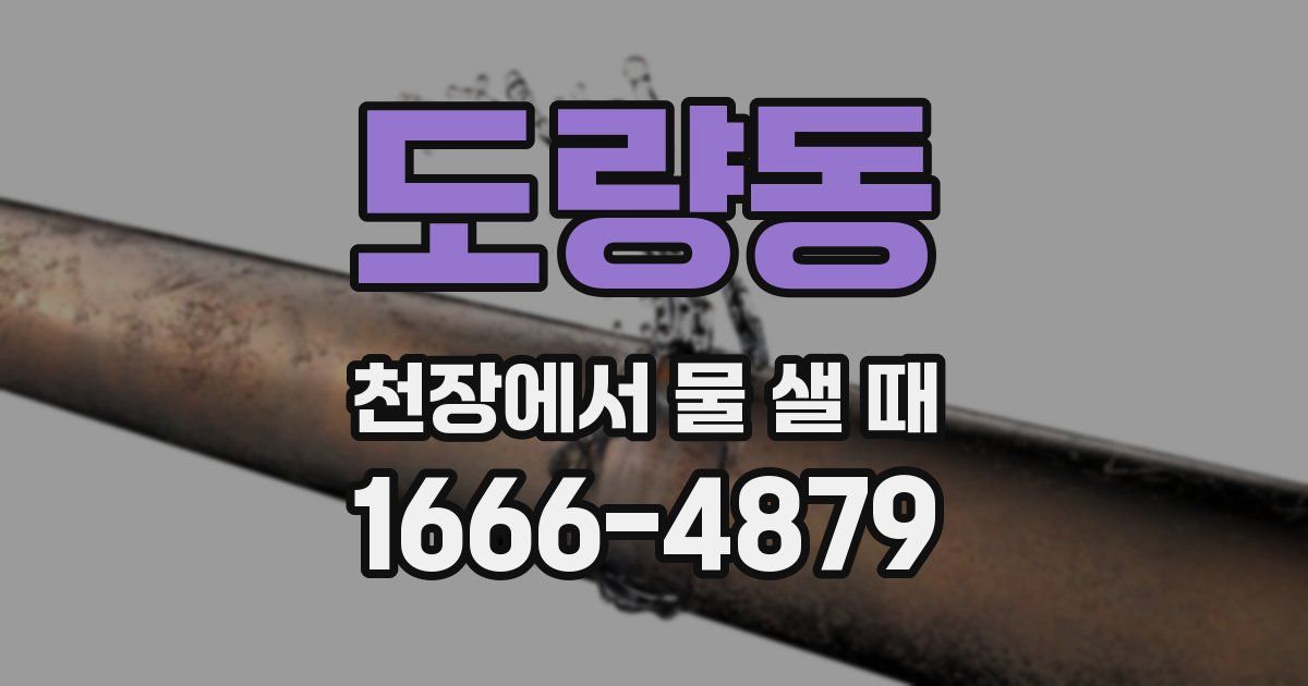 도량동 천장에서 물 샐 때