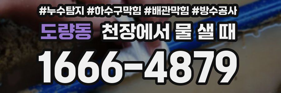 도량동 천장에서 물 샐 때