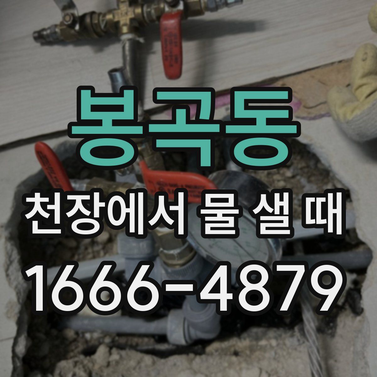 봉곡동 천장에서 물 샐 때