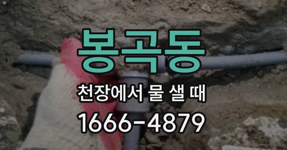 봉곡동 천장에서 물 샐 때