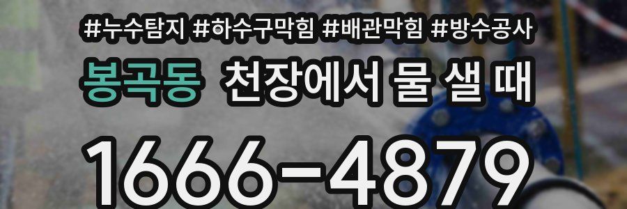 봉곡동 천장에서 물 샐 때