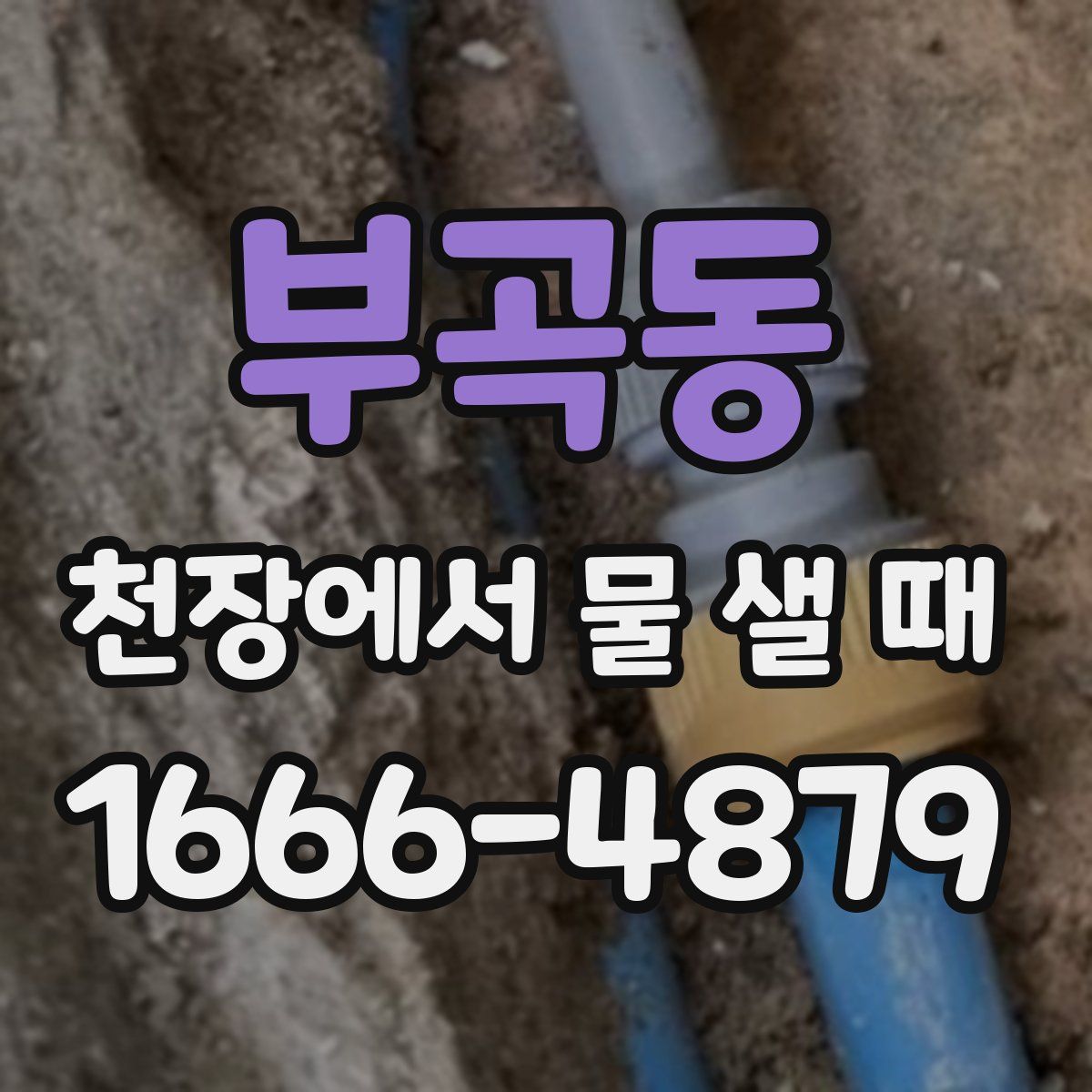 부곡동 천장에서 물 샐 때
