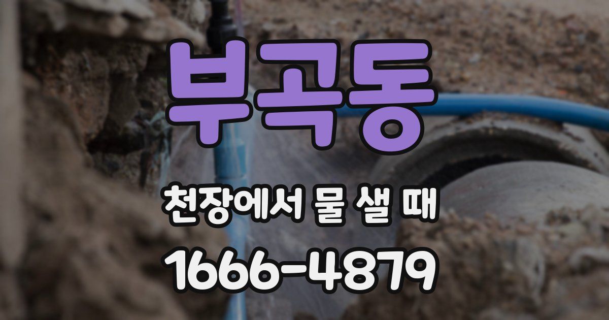 부곡동 천장에서 물 샐 때