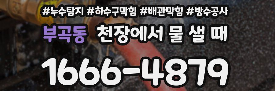 부곡동 천장에서 물 샐 때
