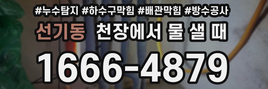선기동 천장에서 물 샐 때