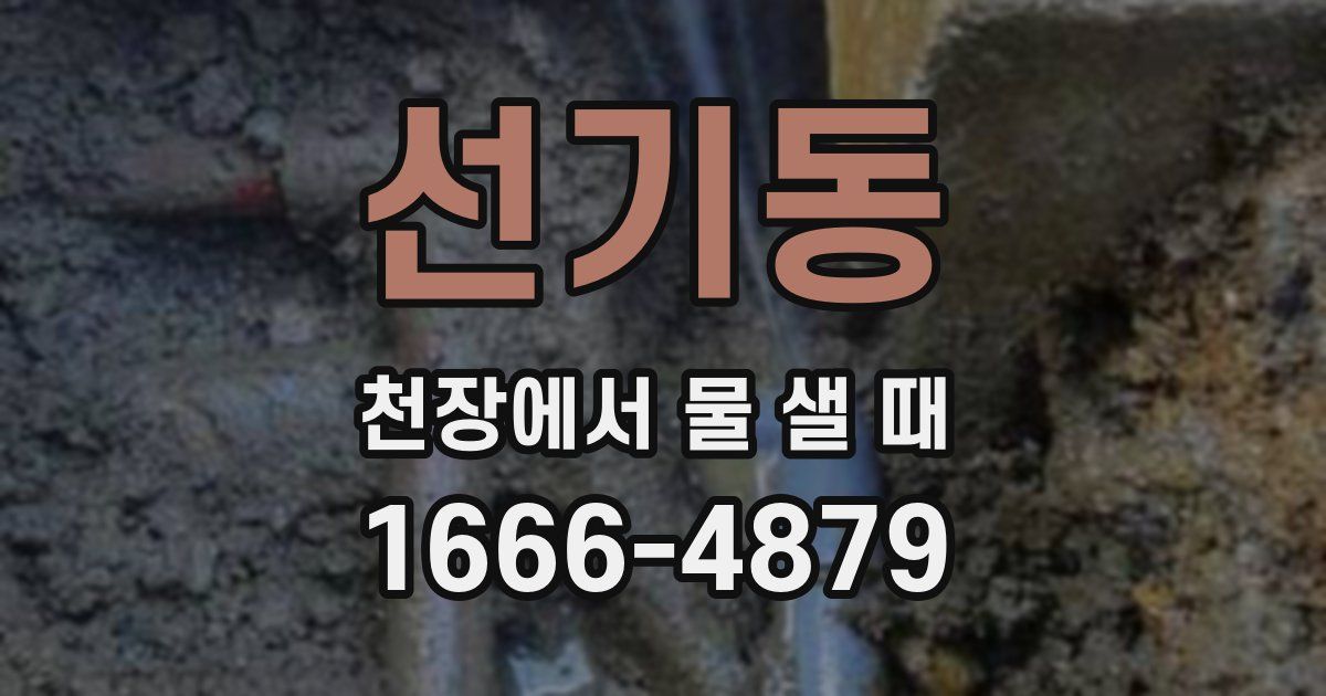 선기동 천장에서 물 샐 때