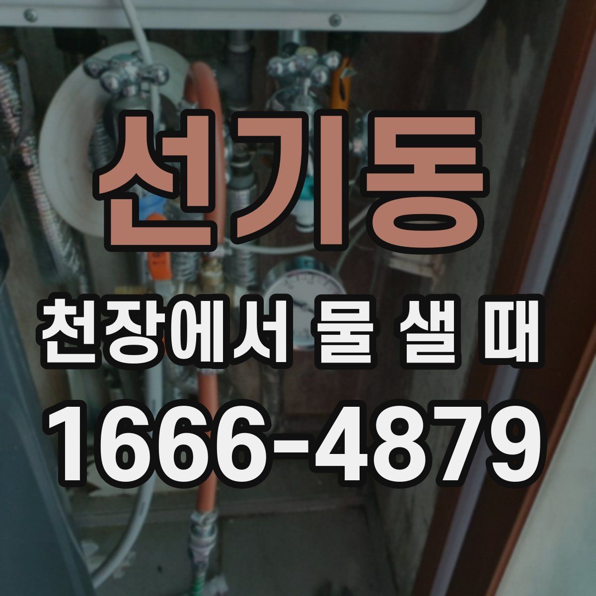 선기동 천장에서 물 샐 때
