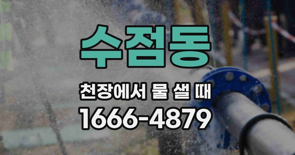 수점동 천장에서 물 샐 때