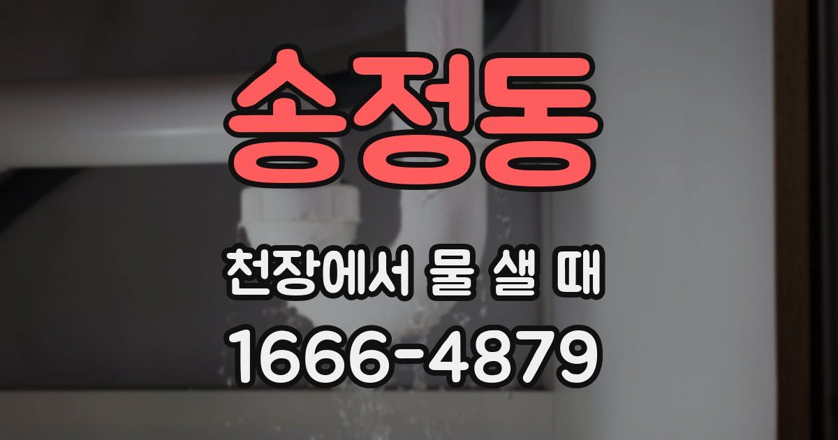송정동 천장에서 물 샐 때