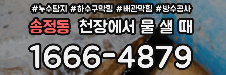 송정동 천장에서 물 샐 때