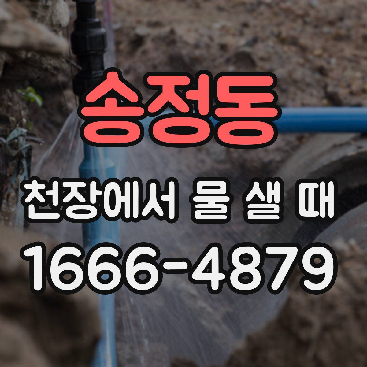 송정동 천장에서 물 샐 때
