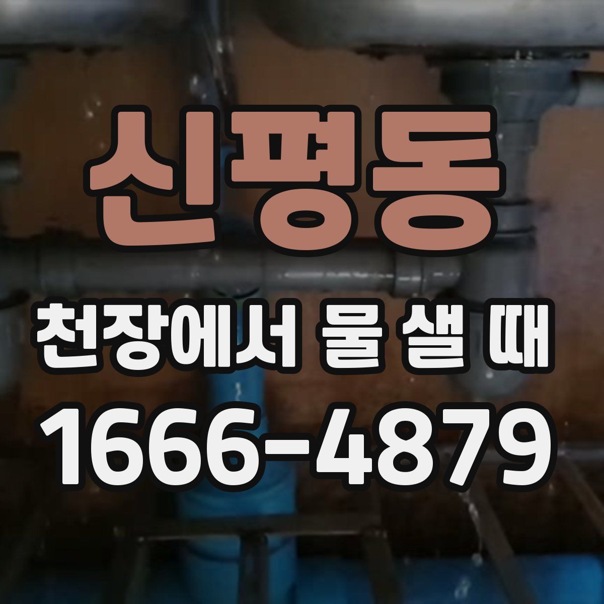 신평동 천장에서 물 샐 때