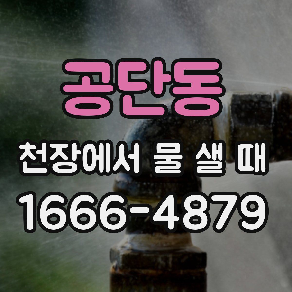 공단동 천장에서 물 샐 때