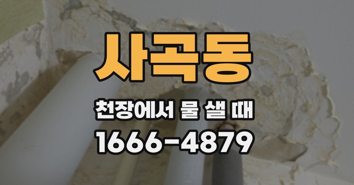 사곡동 천장에서 물 샐 때