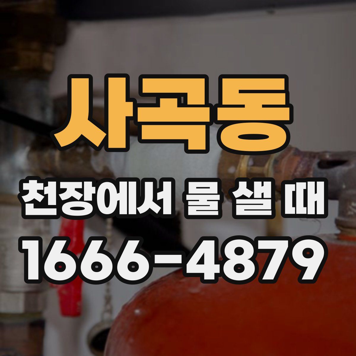 사곡동 천장에서 물 샐 때