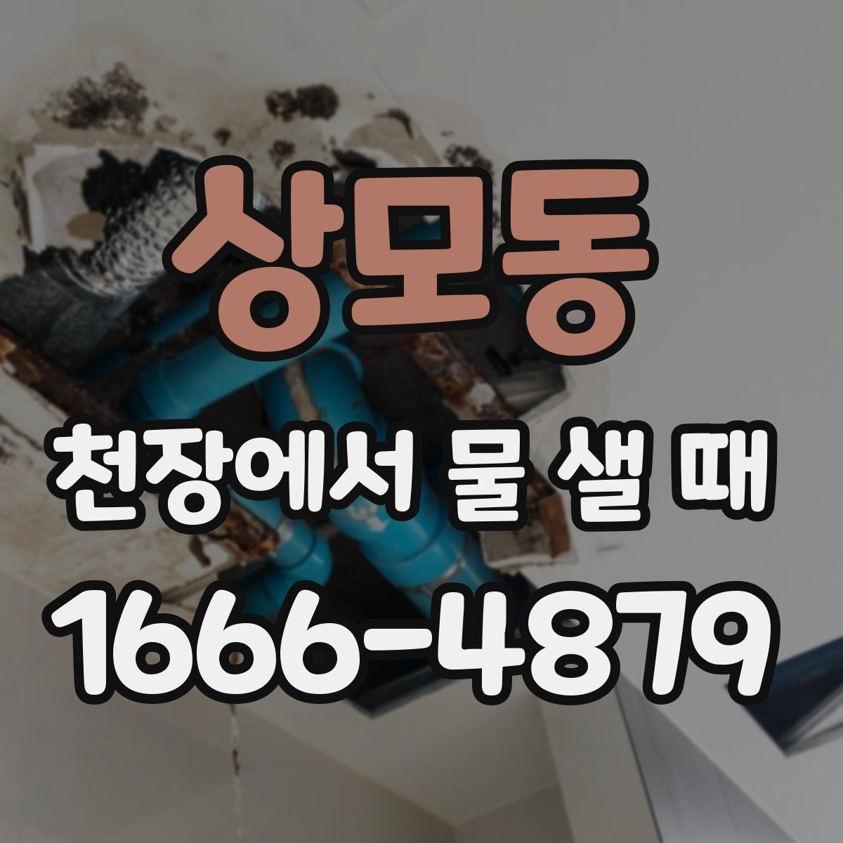 상모동 천장에서 물 샐 때