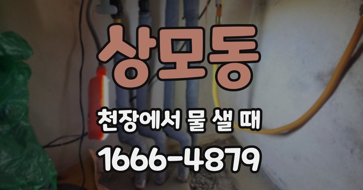 상모동 천장에서 물 샐 때