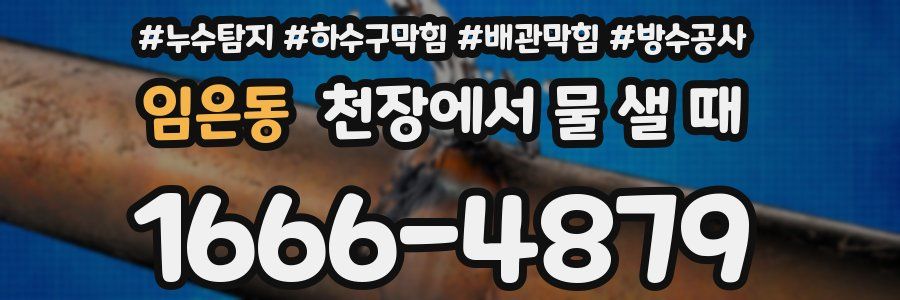 임은동 천장에서 물 샐 때