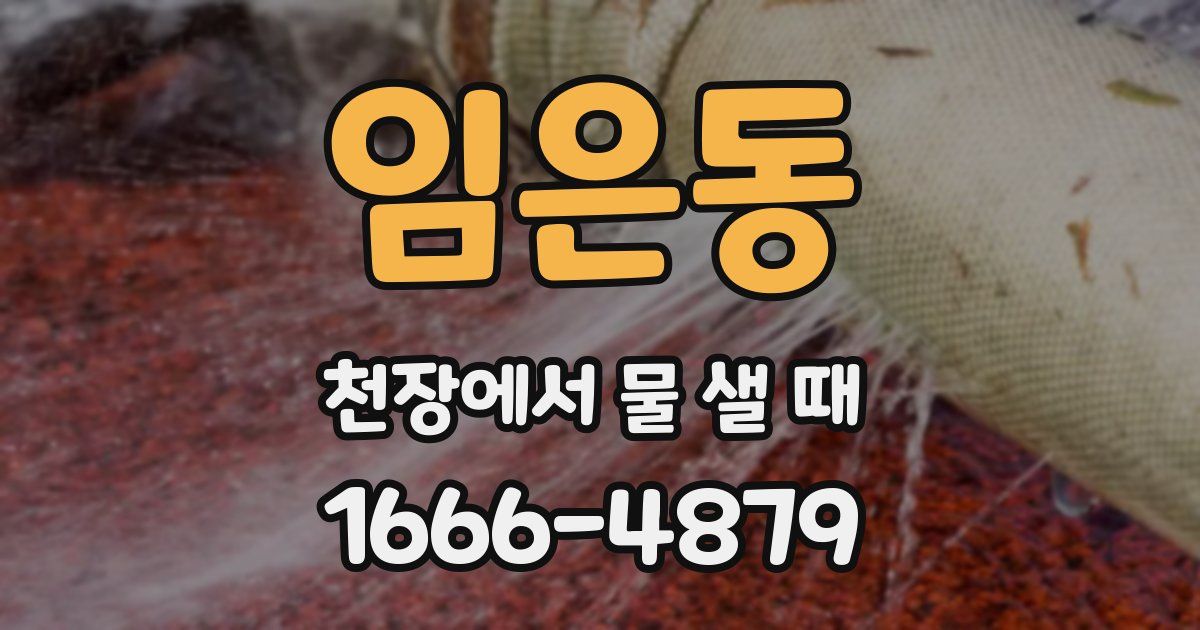 임은동 천장에서 물 샐 때