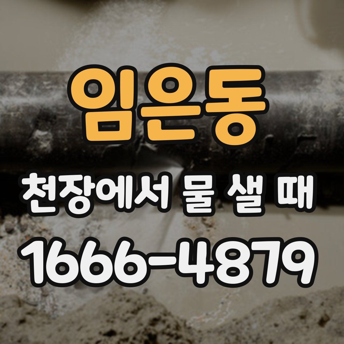 임은동 천장에서 물 샐 때
