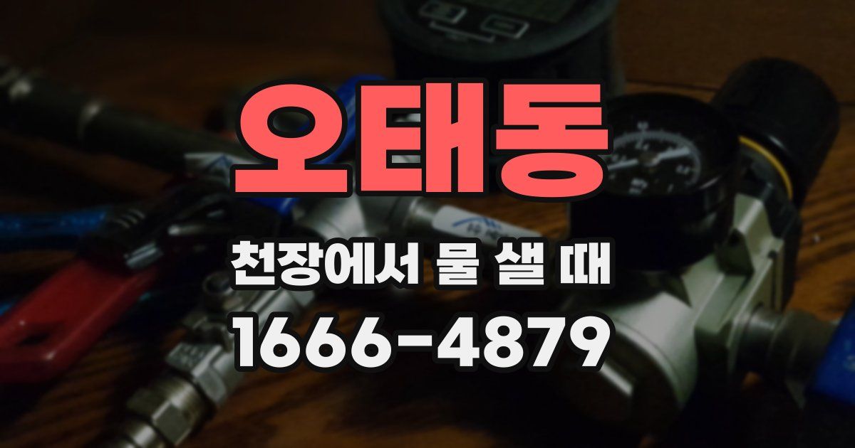 오태동 천장에서 물 샐 때