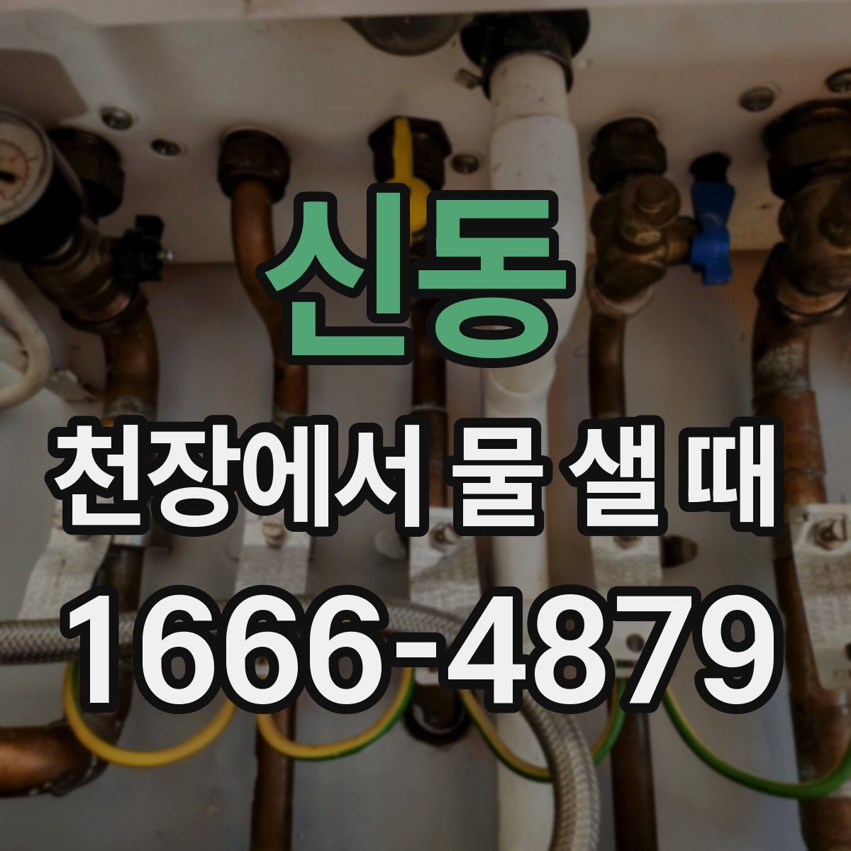 신동 천장에서 물 샐 때
